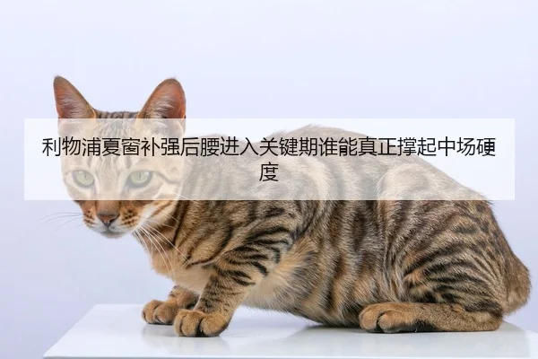 利物浦夏窗补强后腰进入关键期谁能真正撑起中场硬度
